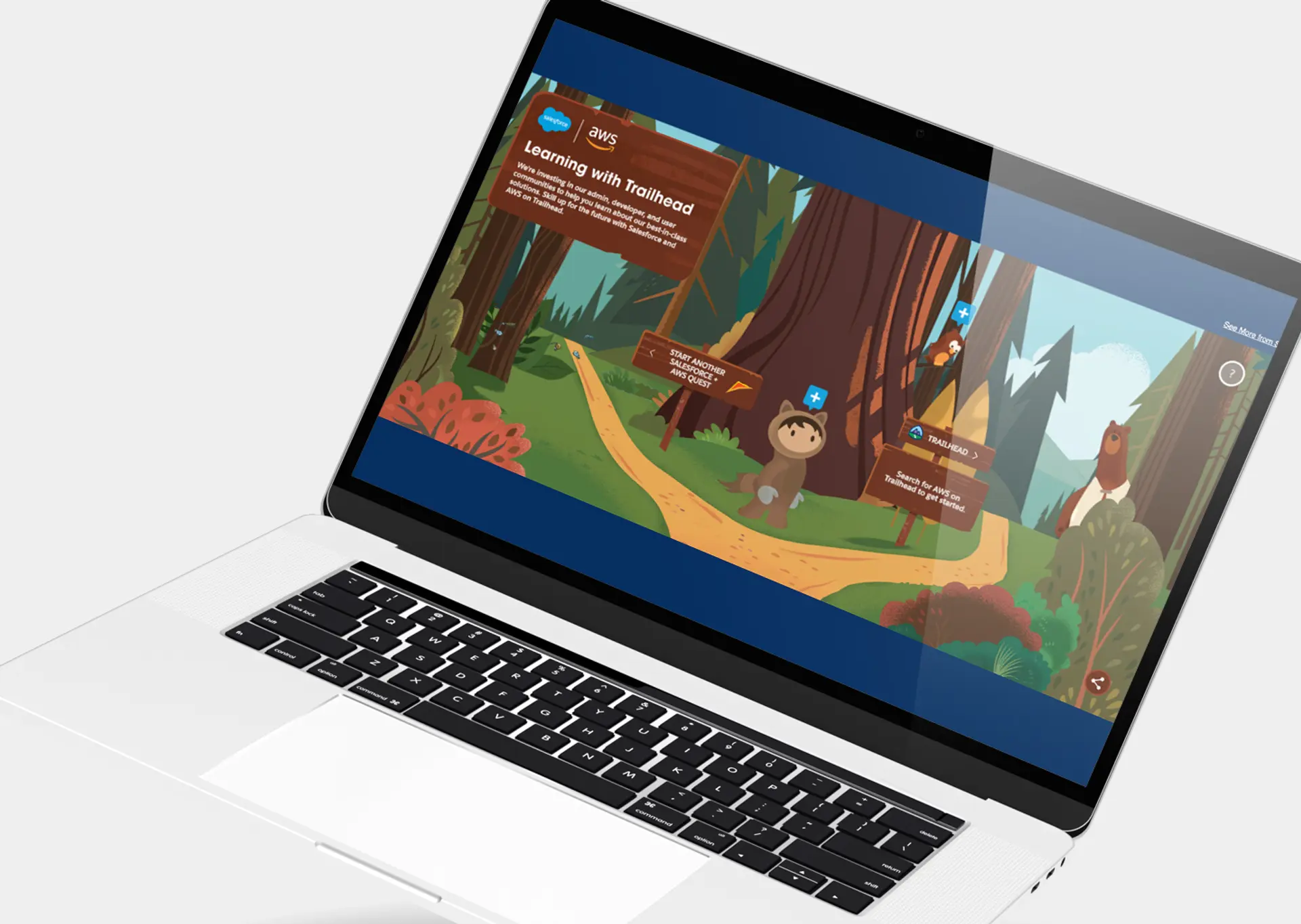 Salesforce AWS Virtual Park