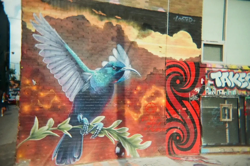 Sparks-hosted CEMA Summit 2026 disposable-camera photo — a blue hummingbird on an olive branch mural against an orange background in Toronto's Graffiti Alley, captured by a CEMA Summit attendee on the Sparks-led walking tour.