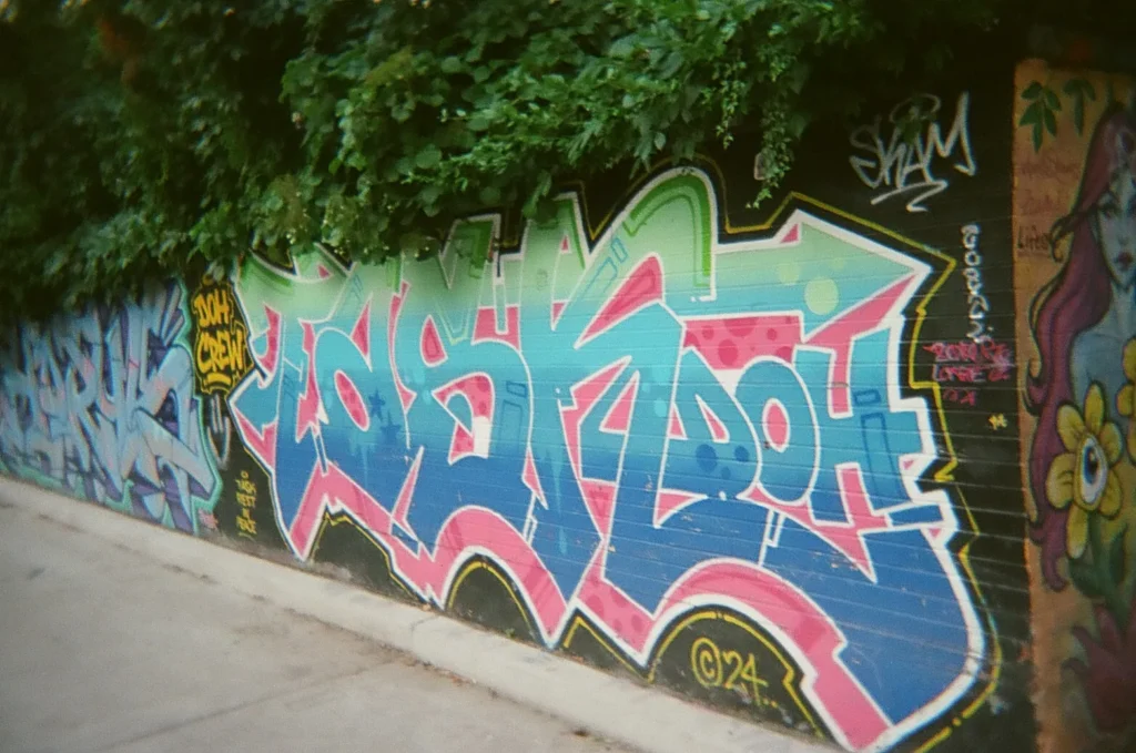 Sparks-hosted CEMA Summit 2026 disposable-camera photo — a bold pink-and-blue word-tag mural in Toronto's Graffiti Alley, captured by a CEMA Summit attendee on the Sparks-led walking tour.